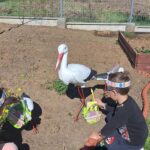 dzieci-szukaja-koszyczkow