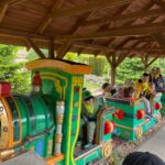 Dzieci w ciuchci z wagonikami