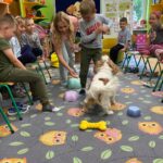 Piesek prosi o nagrodę