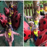 Przejści po biedronkowym torze przeszkód