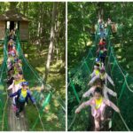 Spacer w koronach drzew