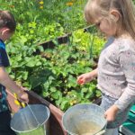 dzieci zrywają truskawki