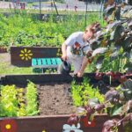 dzieci podlewają rośliny