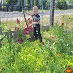 dzieci zrywają kwiaty