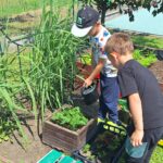 dzieci podlewają rośliny