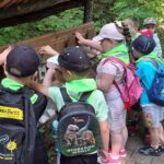 dzieci oglądają zwierzęta