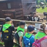 dzieci oglądają zwierzęta