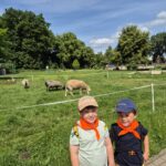 Chłopcy przy owcach