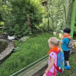 Dzieci podziwiają bociana