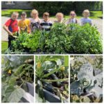 Dzieci prezentują plony