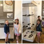 Dzieci przy gablotach eksponatami z wykopalisk