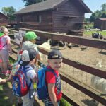 Dzieci zwiedzają zagrodę