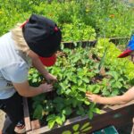 dzieci dbają o rośliny