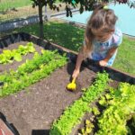 dzieci dbają o rośliny