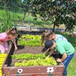 dzieci dbają o rośliny