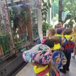 dzieci oglądają zwierzęta