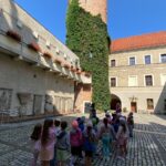 Motylki na dziedzińcu Zamku Książat Głogowskich