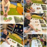 Prezentacja różnych odmian orzechów