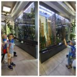 Przedszkolaki z oddziału Żuczki przy gablotach z gadami