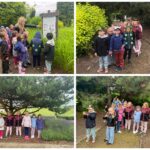 Ścieżka edukacyjna