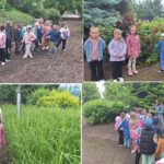 Ścieżka przyrodnicza, dzieci z oddziału Biedronek