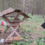 leśniczy dokarmia zwierzęta