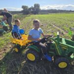 Chlopiec-pomaga-na-wykopkach-swoim-traktorkiem