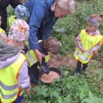 dzieci karmią zwierzęta