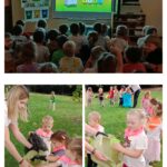 Mrówki i Pszczółki oglądają film edukacyjny