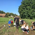 Rodzice-zbieraja-ziemniaki