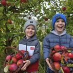 Chllopcy-z-koszami-jablek