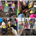 Dzieci karmią kury, kaczki i gęsi