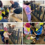 Dzieci karmią zwierzęta w oborze