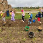 Dzieci próbują wykopać ziemniaki spod ziemi