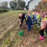 Dzieci uczą się jak wykopuje się ziemniaki