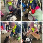 Dzieci w królikarni