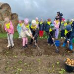 Dzieci wykopują ziemniaki