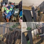 Dzieci z oddziału Biedronek podczas wizyty w gospodarstwie agroturystycznym