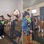 Dzieci z oddziału Biedronek podczas wizyty w gospodarstwie agroturystycznym