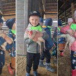 Dzieci z oddziału Biedronek podczas wizyty w gospodarstwie agroturystycznym