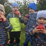 Dzieci-zajadaja-jablka