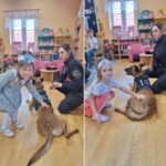 Dziewczynka głaszcze pieska