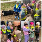 Motylki ze zwierzętami