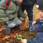 Chlopcy-obserwuja-lesnego-zuczka