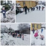 Motylki bawią się na śniegu