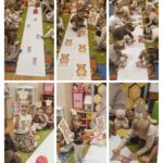 Mrówki podczas zabaw dydaktycznych