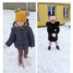 Mrówki robią kule śnieżne