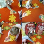 Przedszkolaki dopasowują kolory do liści