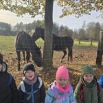 Spacer-w-towrzystwie-koni