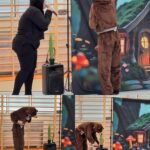 Nietoperz Nietopcia znalazła misia Rysia